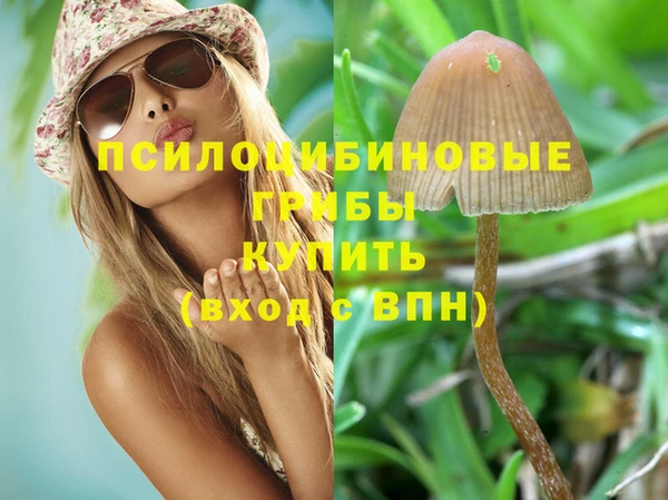шишки Алексеевка