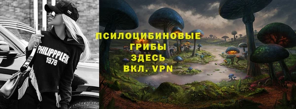 шишки Алексеевка